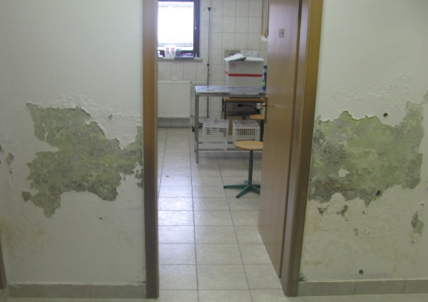 Luščenje ometa in madeži vlage na notranji steni